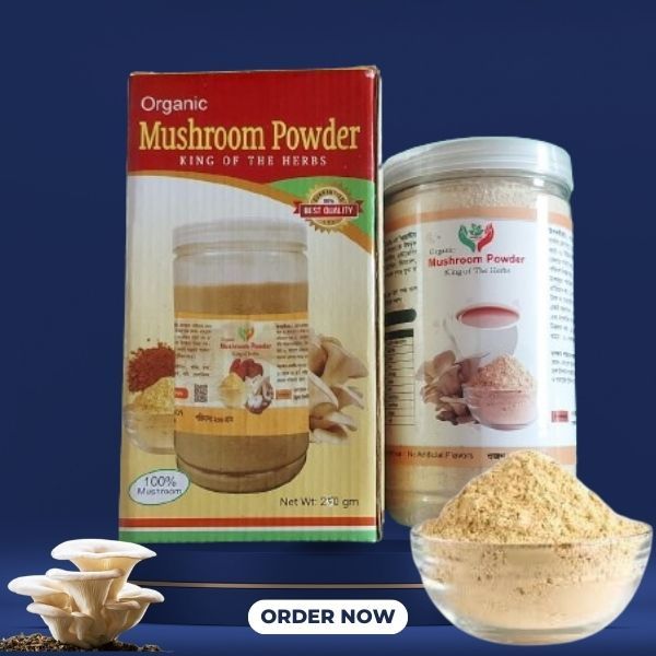 Oyster Mushroom Powder-মাশরুম পাউডার-250g