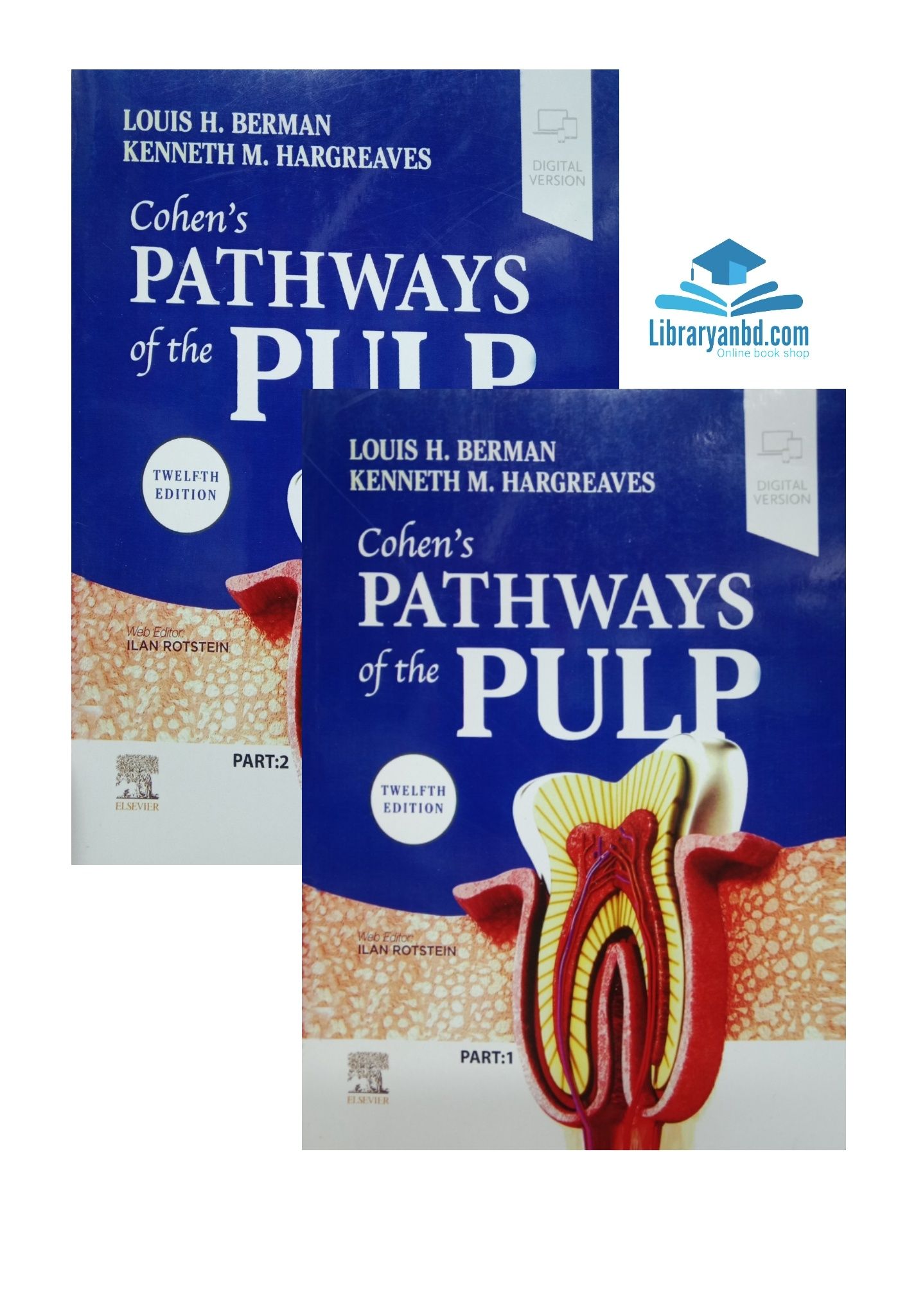 LOUIS H. BERMAN ΚΕΝΝΕΤΗ Μ. HARGREAVES  Cohen's PATHWAYS of the PULP part 1&2 Full colour