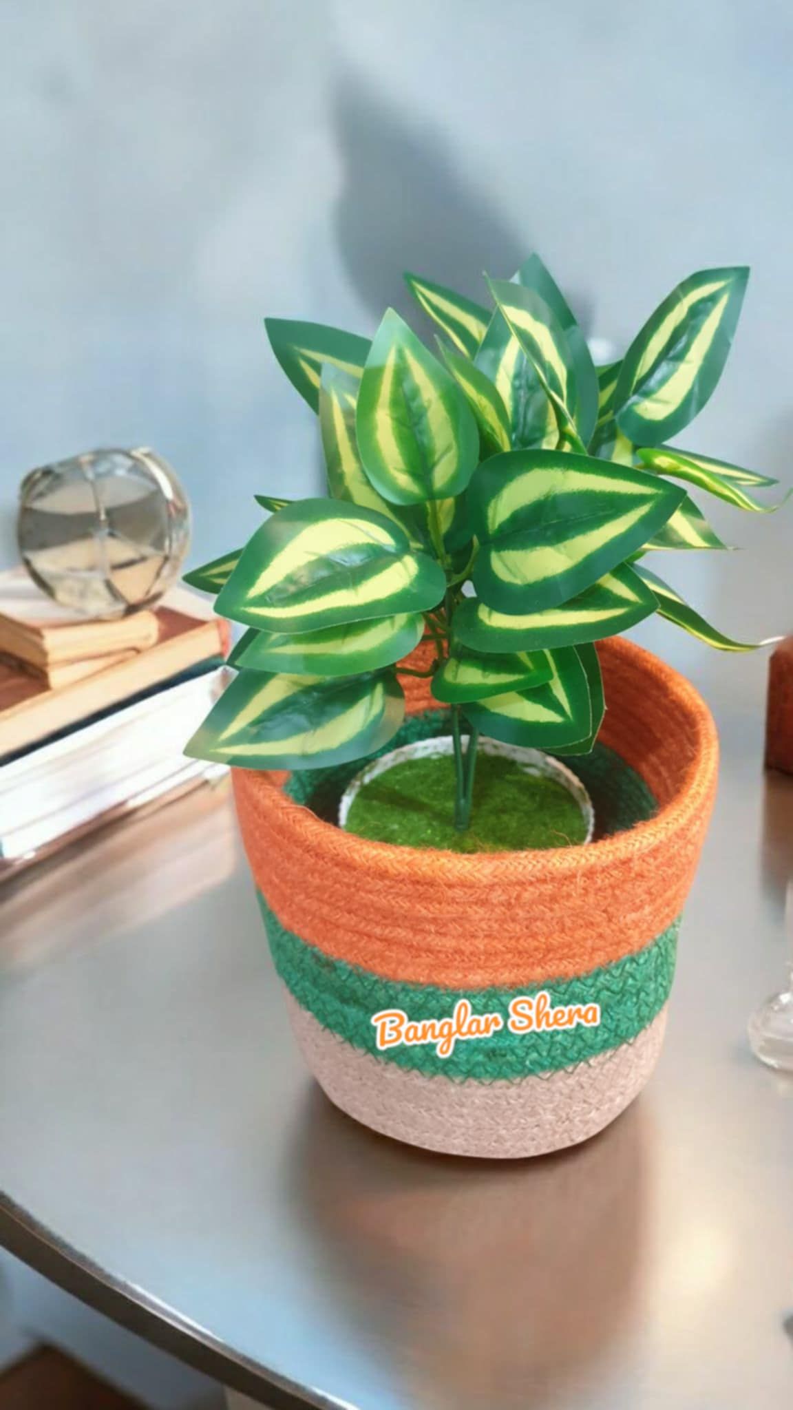 প্লান্টার উইথ প্লান্ট