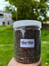 চিয়া্ছিড