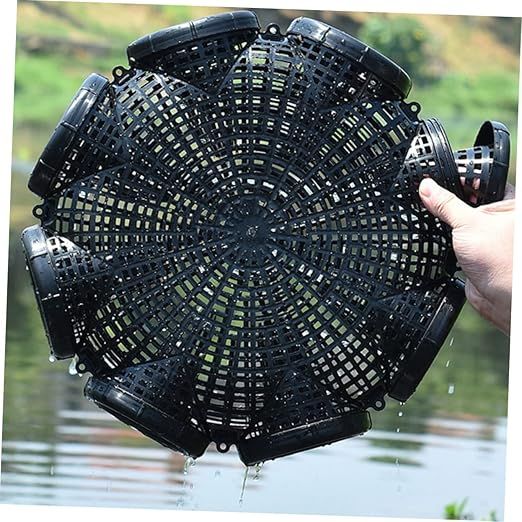 6 Holes Fish Trap