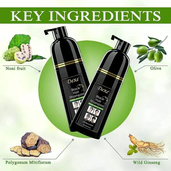 DEXE HAIR COLER BLACK SHAMPOO 400ML