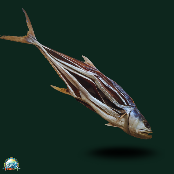 টোনা শুঁটকি