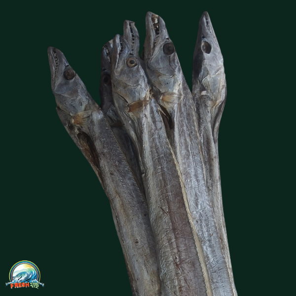 ছুরি শুঁটকি বড় (জাতি)