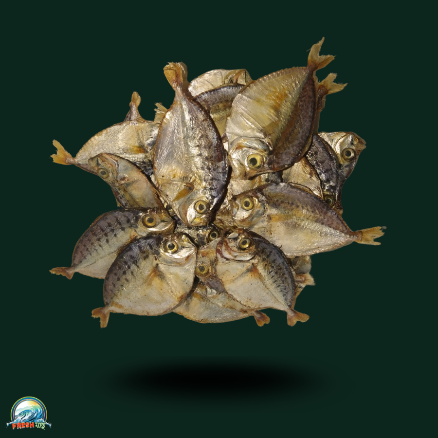 মিনি রুপচাঁদা