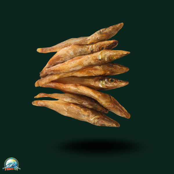 সামুদ্রিক বাইলা (আইশবিহীন লবনযুক্ত)