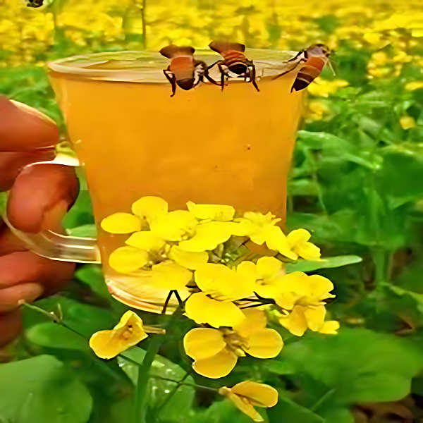 সরিষা ফুলের মধু / Mustard Flower Honey