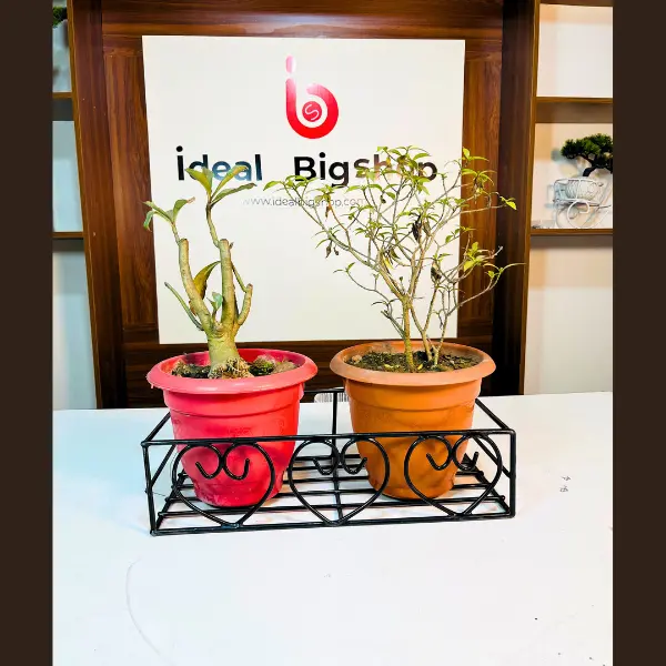 16/8 ইঞ্চি টব হ্যাঙ্গিং রেক