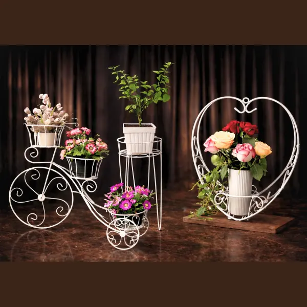 🌿 ৩ পিস কম্বো ইনডোর প্ল্যান্ট