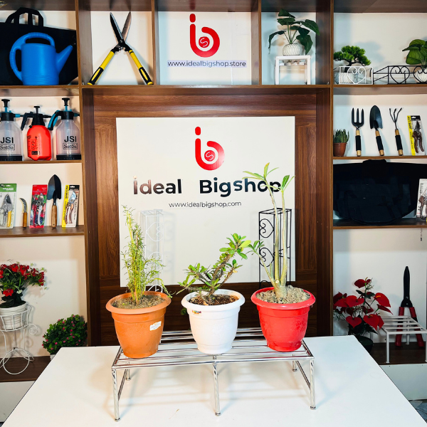 এস এস টব স্ট্যান্ড ২৪-১০-৬