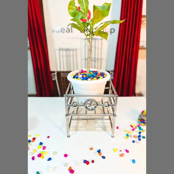 🌿 সিঙ্গেল স্টার টব স্ট্যান্ড