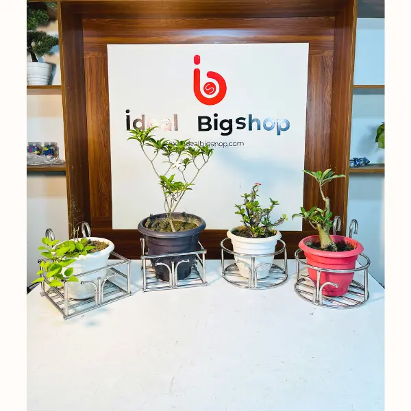 সিঙ্গেল কম্ব ৪ পিস এসএস রেক