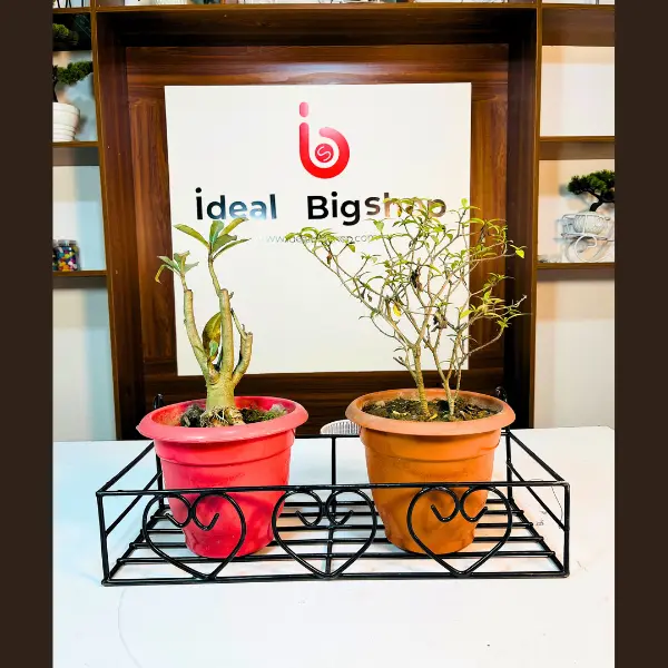 20/8 inch টব হ্যাঙ্গিং রেক