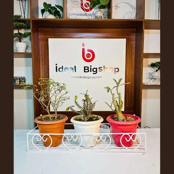 26/8 inch টব হ্যাঙ্গিং রেক