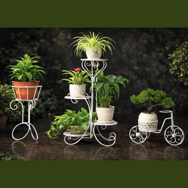 🌿 ৩ পিস কম্বো ইনডোর প্ল্যান্ট 🌿