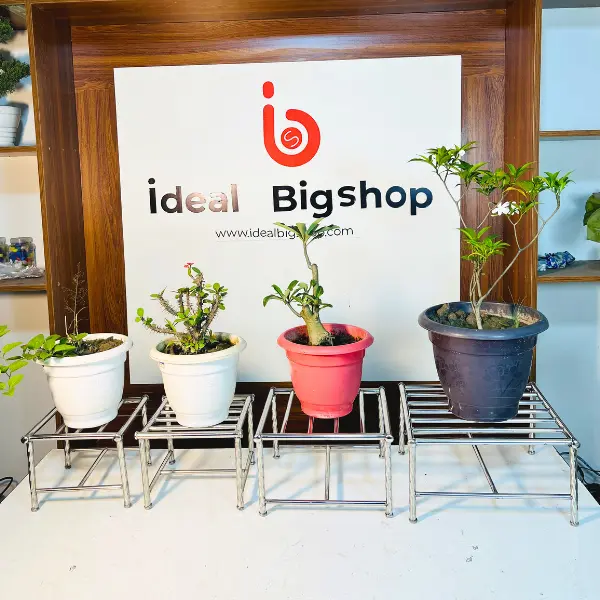 সিঙ্গেল কম্ব ৪ পিস এস এস টুল