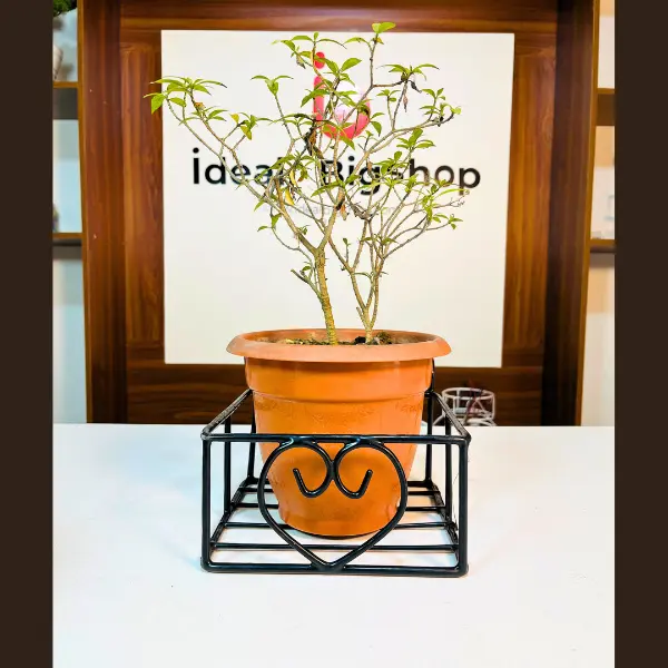 সিঙ্গেল টব স্ট্যান্ড