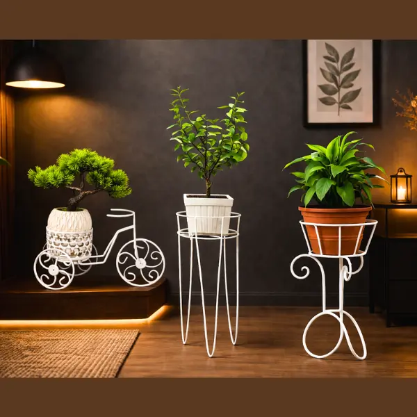 🌿 ৩ পিস কম্বো ইনডোর প্ল্যান্ট 🌿