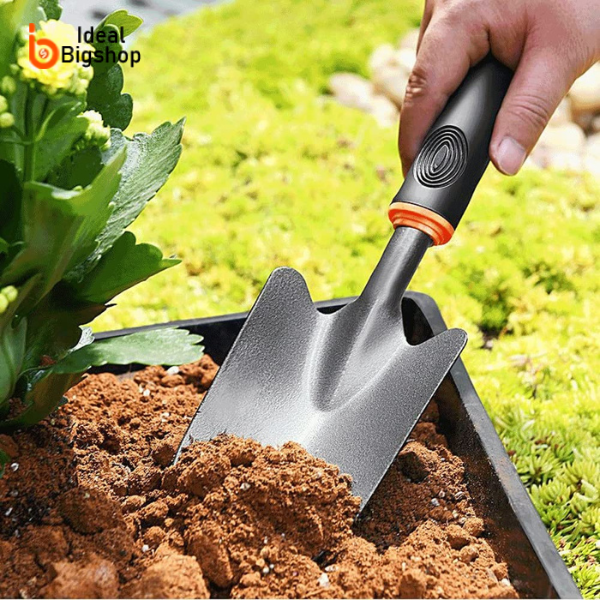 রাবার বেলছা