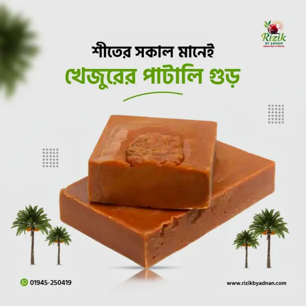 খেজুরের নলেনগুড় (পাটালি)