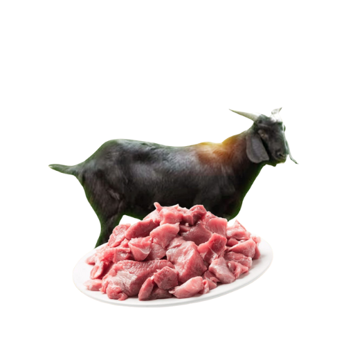FRESH MUTTON
