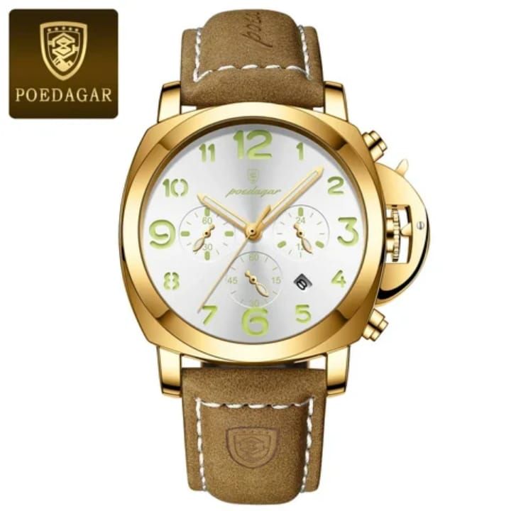 POEDAGAR 859B Luxury Sports Waterproof Luminous Mens Watch