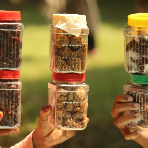 6 item কম্ব অফার বরইতেতুল