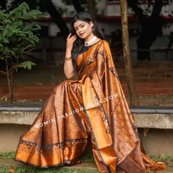 Kanchipuram katan saree কাঞ্জিপুরাম কাতান শাড়ী
