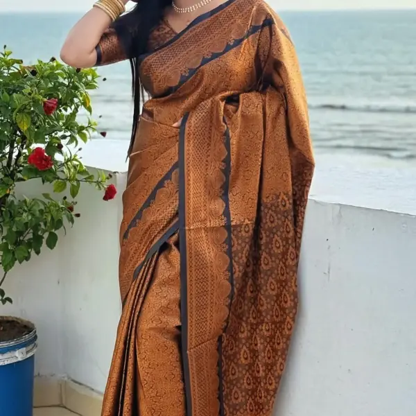 Kanchipuram katan saree কাঞ্জিপুরাম কাতান শাড়ী