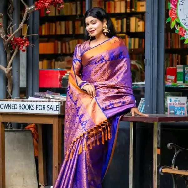 Kanchipuram katan saree কাঞ্জিপুরাম কাতান শাড়ী