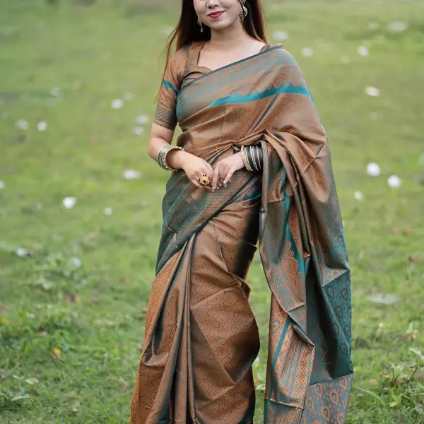 Kanchipuram katan saree কাঞ্জিপুরাম কাতান শাড়ী