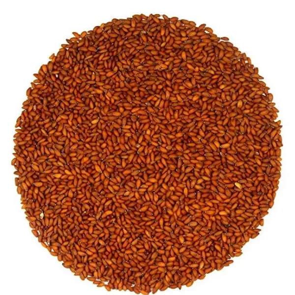 হালিম বীজ |  Garden Cress Seed. (Premium ) || Agro Town