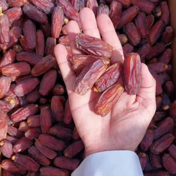 মাবরুম খেজুর / Mabroom Khejur (Premium) || Agro Town