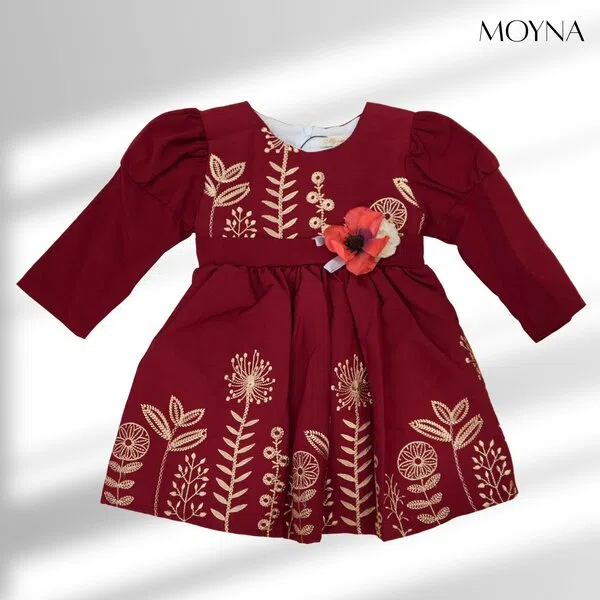 Embroidered festive Frock