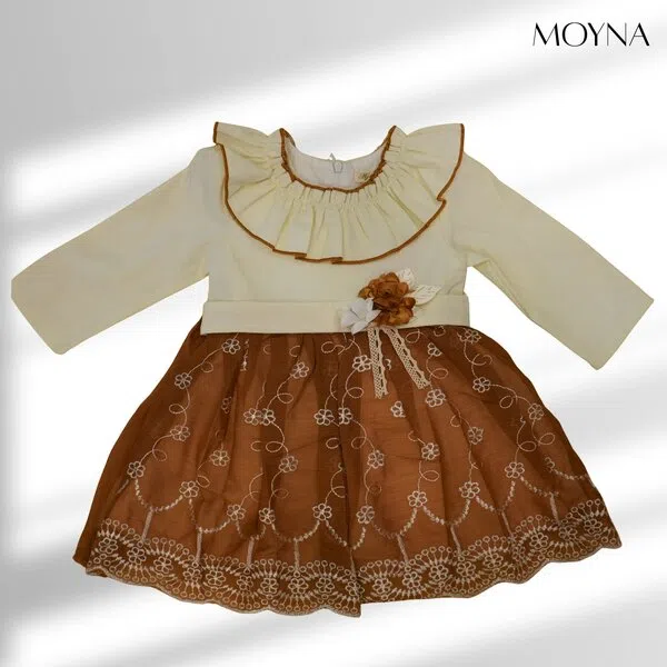 Embroidered festive Frock 2