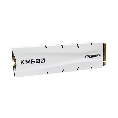 Kingsman KM600 256GB M.2 2280 NVMe SSD