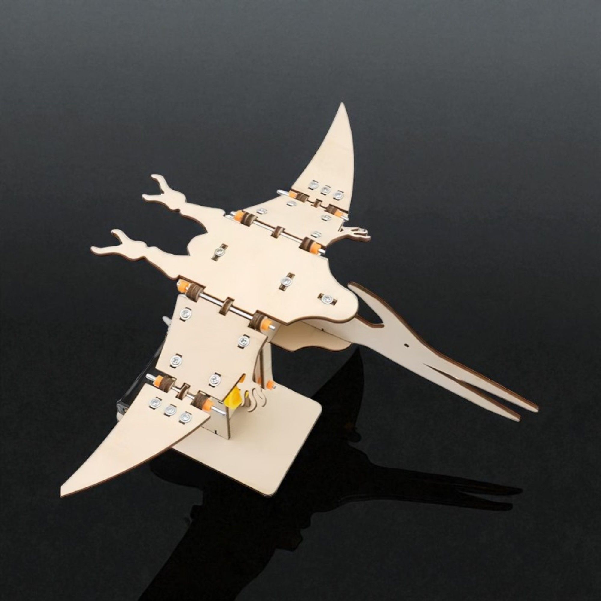 Toothless Pterosaur STEM Kit – DIY Wooden Dinosaur Model