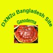 dxn2ubangladesh.com