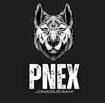 pnexbd.xyz