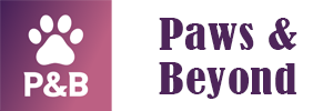 pawnbeyond.com