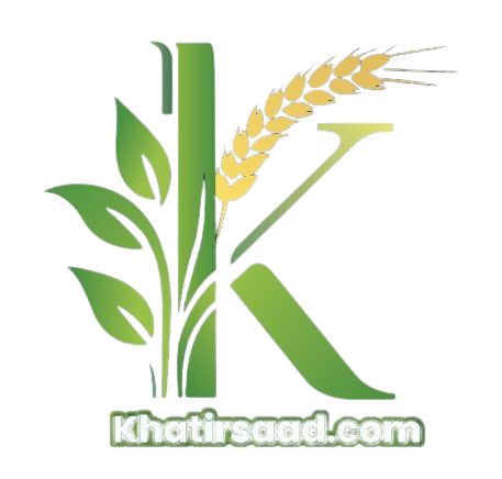 khatirsaad.com