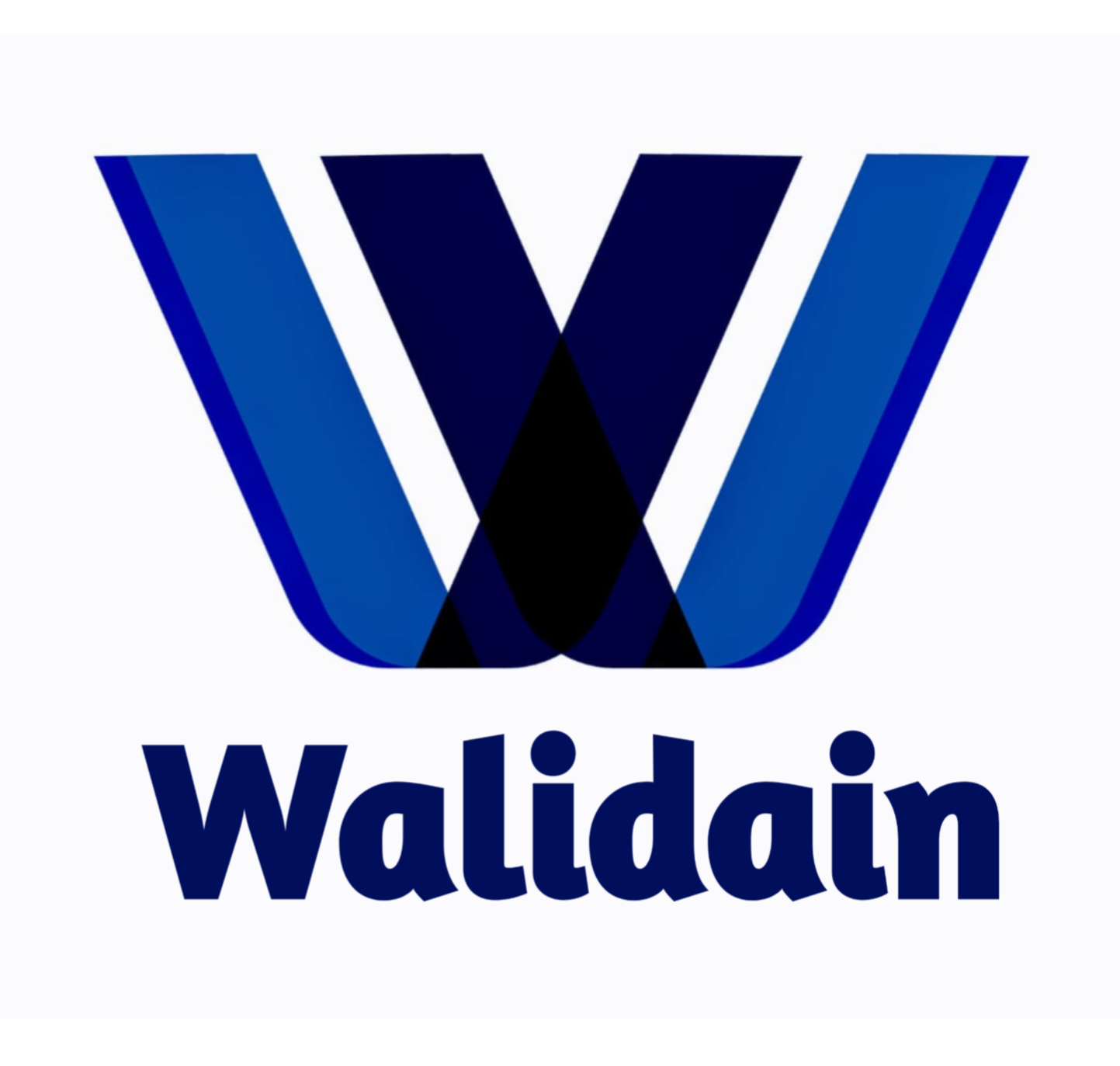 walidainc.com